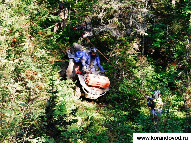 gallery_3106_2519_52821.jpg