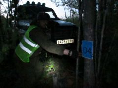 IMG 0469 новый размер