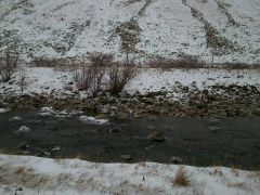 DSC 0114.JPG~01~01