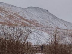 DSC 0024.JPG~01~01