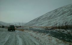 DSC 0117.JPG~01
