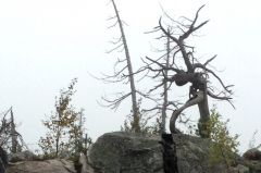 в3