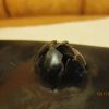 IMG 6603
