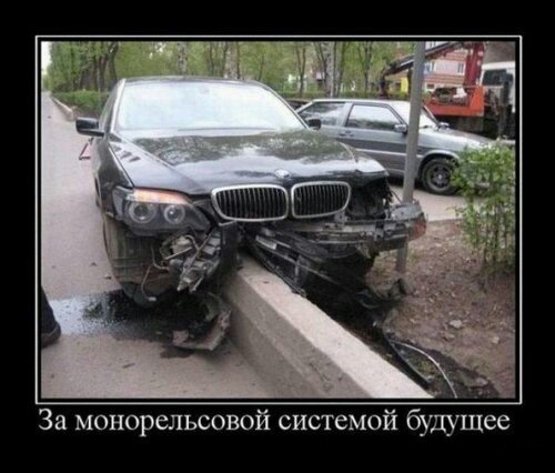 13863812.jpg