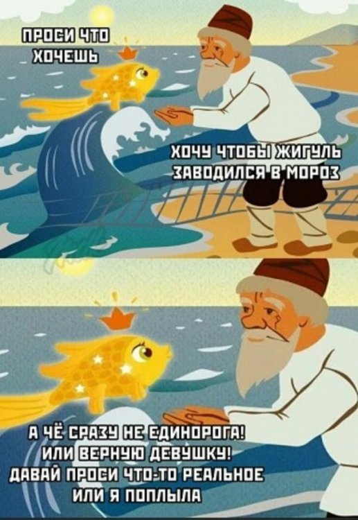 14013394.jpg