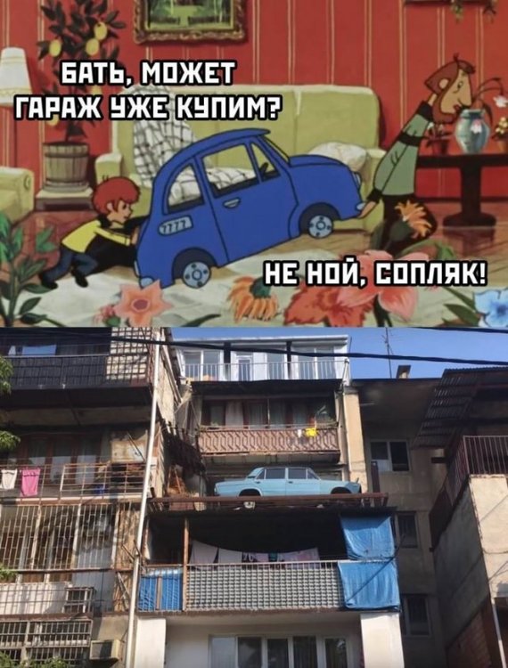 14050337.jpg