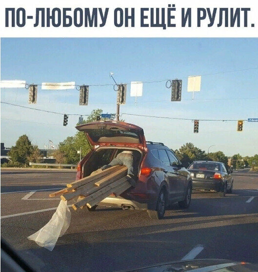 14825823.jpg