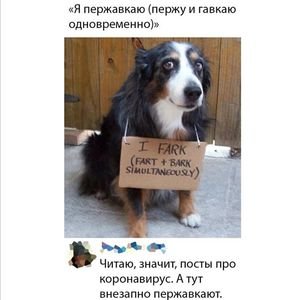 27087627_9519.jpg