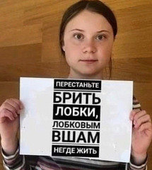 27107069_16874.jpg