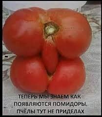 28080844_27770.jpg