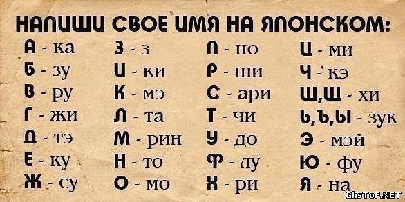 9005549.jpg