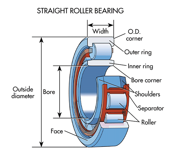 Straight-Roller-bearings.gif