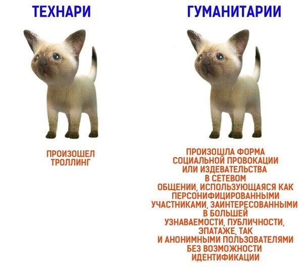 rLPUrYYLW4Q.jpg