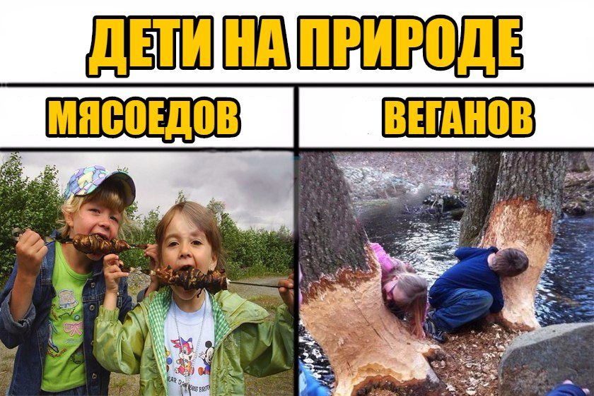 zZEscOK1hsM.jpg