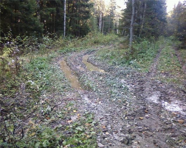 post-2651-1286563467,8559_thumb.jpg