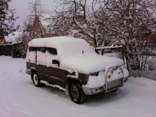 Питерская встреча 27.11.2010