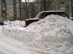 IMG_8772.JPG