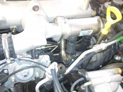 2010-08-12 12.48.39.jpg