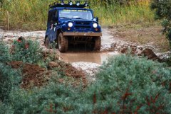 DSC_4278.JPG