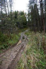 DSC08791.jpg