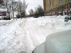 IMG_8769.JPG