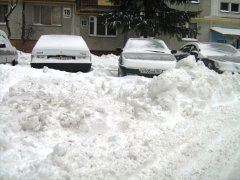 IMG_8774.JPG