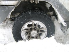 IMG_8779.JPG