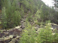 Каменная россыпь