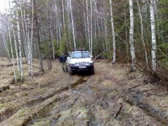 25042010890.jpg