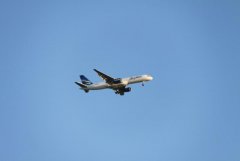 IMG_0125 [1024x768].JPG