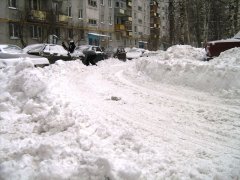 IMG_8771.JPG