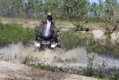 IMG_0262 [1024x768].JPG