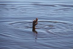 IMG_0360 [1024x768].JPG