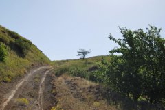 29-Вешенская-Лебяжий-Яр.jpg