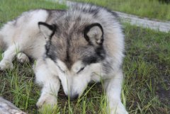 IMG_0226 [1024x768].JPG