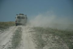 IMG_3459-1.jpg
