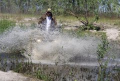 IMG_0261 [1024x768].JPG