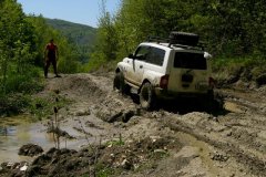 IMG_8310.jpg