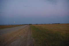 IMGP0619.jpg