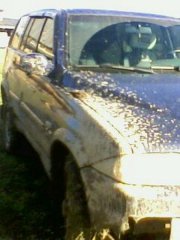 IMG0085A.jpg