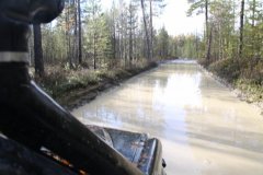 IMG_1431.JPG