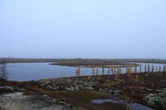 IMG_0703.JPG