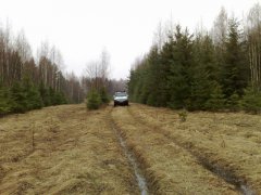 25042010888.jpg