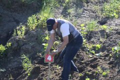 IMG_0288 [1024x768].JPG