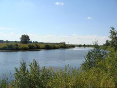 DSC01938.jpg