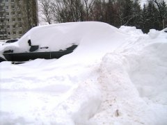 IMG_8782.JPG