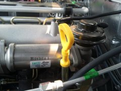 2010-08-07 12.31.31.jpg