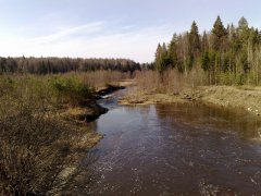 30042010898.jpg