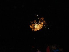 DSC01991.jpg