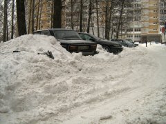 IMG_8773.JPG
